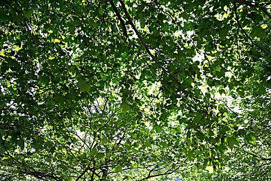 动作RPG《里世界》9月25日发布试玩 10月发售