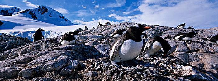 曝卡普空在开发新作《后裔》 八尺夫人女儿演员出演配角